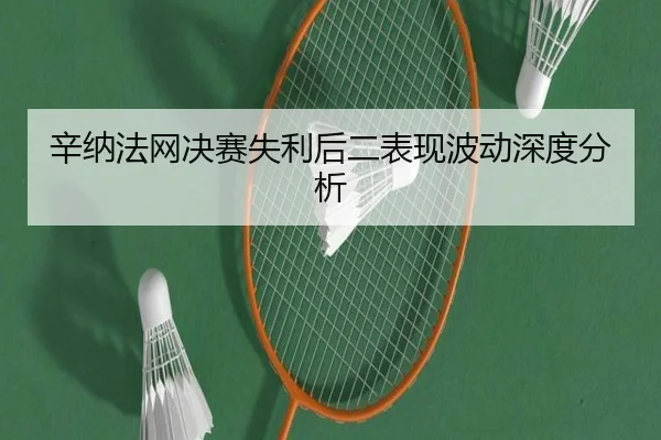 辛纳法网决赛失利后二表现波动深度分析